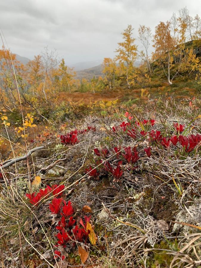 Hytto Villa Horre Eksteriør billede