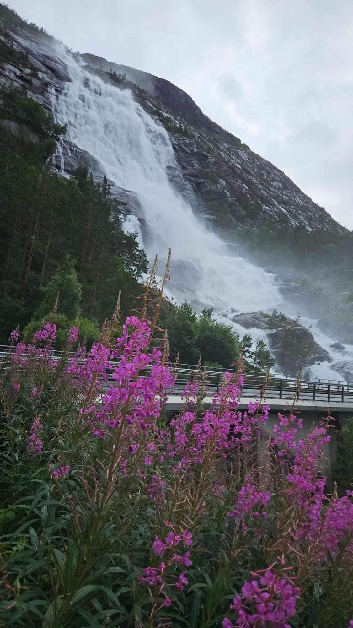 Hytto Villa Horre Eksteriør billede